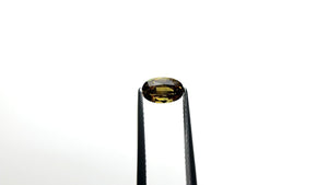 1.27ct 7.88x4.87x3.82mm Oval Brilliant Sapphire 26333-01