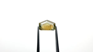 3.41ct 6.90x10.49x4.05mm Shield Portrait Cut Sapphire 22434-143