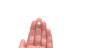 4.83ct 14.36x9.64x3.86mm Hexagon Rosecut 23864-02