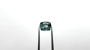 3.02ct 9.55x7.68x4.49mm Cushion Brilliant Sapphire 23082-01