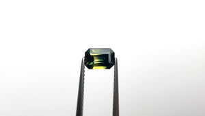 1.16ct 6.95x4.94x3.45mm Cut Corner Rectangle Step Cut Sapphire 25187-02