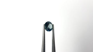 0.71ct 5.55x5.52x3.24mm Round Brilliant Sapphire 26134-08