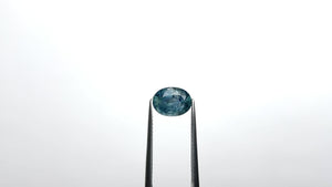 2.73ct 9.57x7.16x4.95mm Oval Brilliant Sapphire 23086-01
