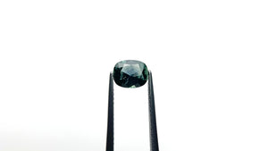 1.16ct 7.03x5.77x3.54mm Cushion Brilliant Sapphire 26619-01