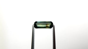 0.98ct 9.51x3.66x2.52mm Cut Corner Rectangle Step Cut Sapphire 23491-05