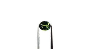 1.53ct 6.98x5.85x4.39mm Oval Brilliant Sapphire 28258-01