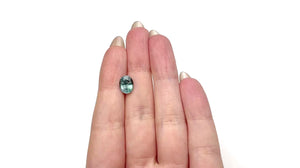 3.21ct 9.96x7.64x5.12mm Oval Brilliant Sapphire 22690-14