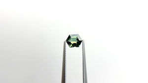 0.88ct 6.41x4.98x3.17mm Hexagon Step Cut Sapphire 23485-02