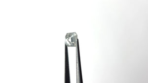 0.93ct 6.35x5.10x2.89mm Cut Corner Rectangle Rosecut 27536-16
