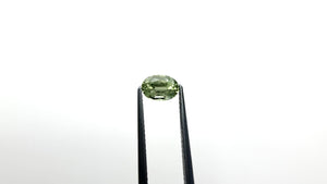 1.19ct 7.10x5.05x3.87mm Oval Brilliant Sapphire 26162-03