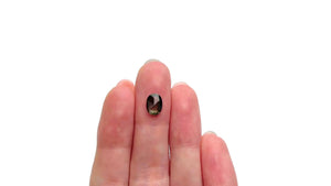 1.18ct 7.99x5.95x2.68mm Oval Rosecut Sapphire 26327-105