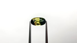 1.95ct 10.00x5.58x4.13mm Oval Brilliant Sapphire 26330-01