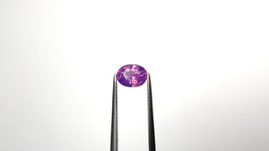1.58ct 7.72x5.73x4.40mm Oval Brilliant Sapphire 24371