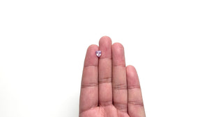 1.50ct 7.29x6.82x4.45mm Shield Brilliant Sapphire 26401-01