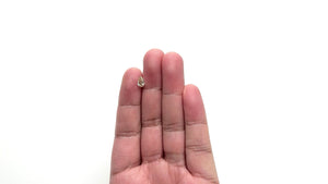 0.76ct 7.97x4.72x2.99mm VS1 C4 Geo Pear Step Cut 🇿🇦 26109-05