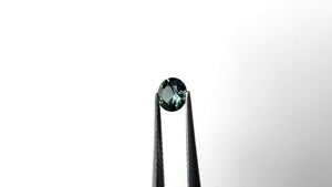 0.70ct 5.40x5.37x3.29mm Round Brilliant Sapphire 26526-09