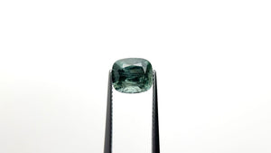 3.26ct 8.81x7.63x5.30mm Cushion Brilliant Sapphire 24824-01