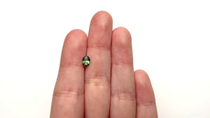 0.64ct 6.43x4.73x2.69mm Oval Brilliant Sapphire 27363-04