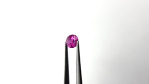 0.80ct 6.04x4.98x3.33mm Oval Brilliant Sapphire 27957-33
