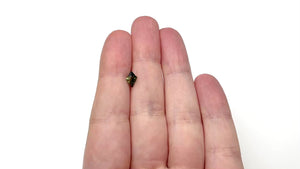 1.06ct 8.15x5.50x4.23mm Kite Step Cut Sapphire 27138-01