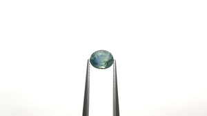 1.50ct 7.04x5.81x4.46mm Oval Brilliant Sapphire 23525-01