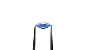 1.05ct 10.12x4.37x3.41mm Marquise Brilliant Sapphire 26462-01