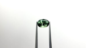 2.52ct 8.93x6.80x5.15mm Oval Brilliant Sapphire 22691-15