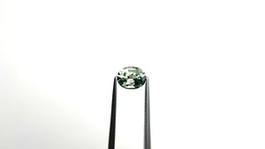 1.17ct 7.00x5.57x3.73mm Oval Brilliant Sapphire 24764-01