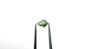 0.59ct 7.62x5.59x2.46mm Kite Step Cut 25740-18