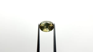 2.82ct 8.97x6.94x5.53mm Oval Brilliant Sapphire 23426-43