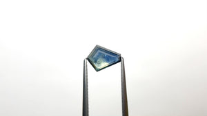 1.73ct 9.37x7.44x3.09mm Shield Step Cut Sapphire 22266-24