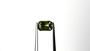 1.15ct 7.55x4.93x3.10mm Cut Corner Rectangle Step Cut Sapphire 27361-01