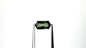 1.09ct 8.92x4.64x3.01mm Hexagon Step Cut Sapphire 27352-01