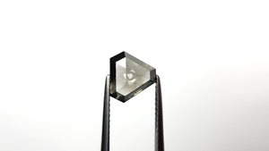 1.86ct 7.72x9.16x3.08mm Shield Rosecut 19768-06