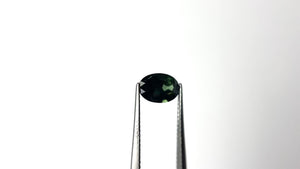 1.59ct 8.53x5.85x3.78mm Oval Brilliant Sapphire 28309-01