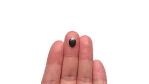 1.17ct 8.76x6.62x1.76mm Oval Portrait Cut Sapphire 23433-31