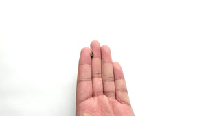 1.21ct 8.26x4.71x4.11mm Marquise Brilliant Sapphire 27134-02