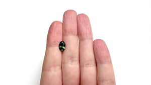 1.73ct 9.21x5.97x4.20mm Oval Brilliant Sapphire 27312-01