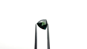 1.64ct 7.30x7.24x4.03mm Geo Trillion Brilliant Sapphire 27766-08
