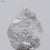 4.43ct Rough Diamond 713-55-127