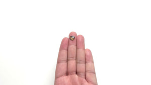 1.67ct 10.22x8.90x2.44mm Shield Rosecut Sapphire 26327-27