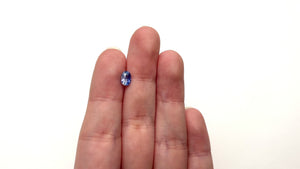 1.04ct 6.80x5.08x3.67mm Oval Brilliant Sapphire 27468-01