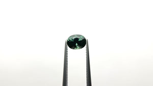 1.29ct 6.94x5.56x4.46mm Oval Brilliant Sapphire 23813-34
