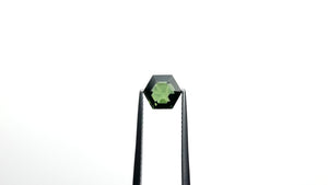 1.69ct 7.61x6.64x3.84mm Hexagon Step Cut Sapphire 23476-12