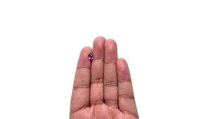 1.68ct 10.37x5.76x4.48mm Shield Step Cut Sapphire 28270-01
