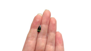 1.40ct 11.53x4.84x3.37mm Pear Brilliant Sapphire 25198-04