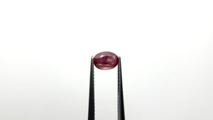 1.26ct 7.03x5.10x4.15mm Oval Brilliant Sapphire 24674-02