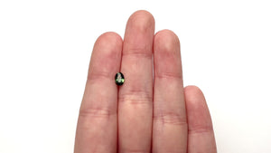 0.59ct 6.57x4.52x2.49mm Oval Brilliant Sapphire 27363-03