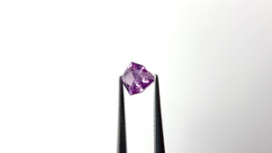 1.52ct 8.33x6.71x3.94mm Shield Brilliant Sapphire 27462-01