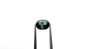 1.63ct 8.07x6.18x4.19mm Oval Brilliant Sapphire 23813-19